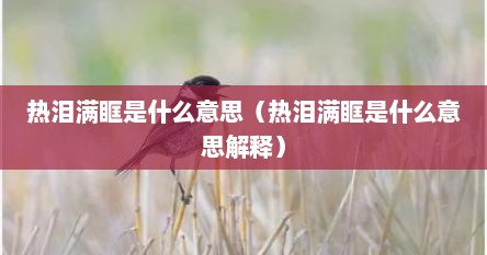 热泪满眶是什么意思（热泪满眶是什么意思解释）