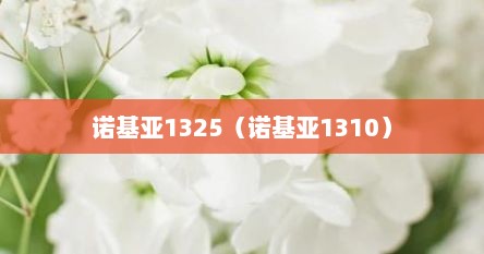 诺基亚1325（诺基亚1310）