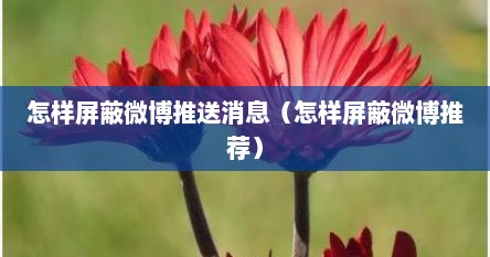 怎样屏蔽微博推送消息（怎样屏蔽微博推荐）