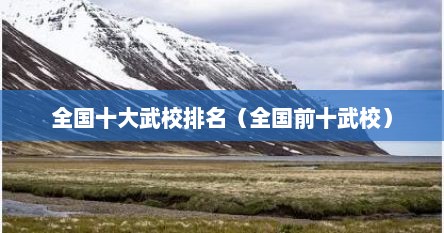 全国十杰武校排名（全国十大武校有哪些）
