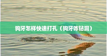 狗牙怎样快速打孔（狗牙咋钻洞）