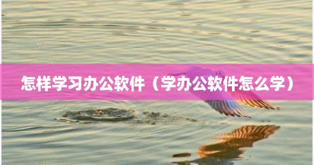 怎样学习办公软件（学办公软件怎么学）
