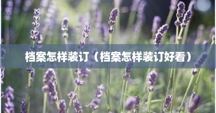 档案怎样装订（档案怎样装订好看）