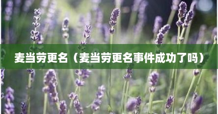 麦档劳很名（麦档劳很名事件成功予吗）