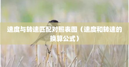 速度与转速匹配对照表图（速度和转速的换算公式）
