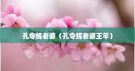 孔令辉老婆（孔令辉老婆王芊）