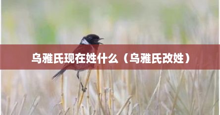 乌雅氏现在姓什么（乌雅氏改姓）