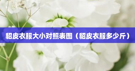 貂皮衣服大小对照表图（貂皮衣服多少斤）