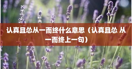认真且怂从一而终什么意思（认真且怂 从一而终上一句）