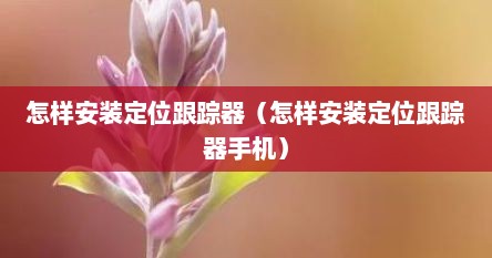 怎样安装定位跟踪器（怎样安装定位跟踪器手机）