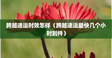 跨越速运时效怎样（跨越速运最快几个小时到件）