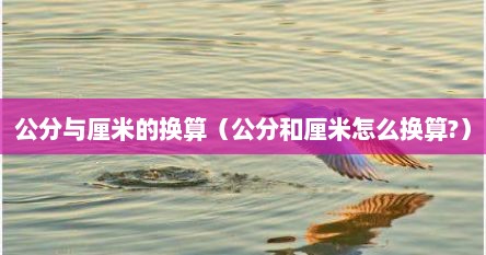 公分与厘米的换算（公分和厘米怎么换算?）
