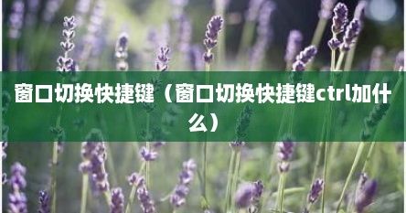 窗口切换快捷键（窗口切换快捷键ctrl加什么）