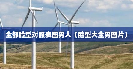 全部脸型对照表图男人（脸型大全男图片）