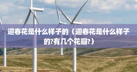 迎春花是什么样子的（迎春花是什么样子的?有几个花瓣?）