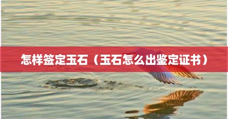 怎样签定玉石(玉石怎么出鉴定证书) 怎样签定玉石(玉石怎么出鉴定证书)