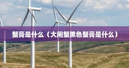蟹膏是什么（大闸蟹黑色蟹膏是什么）