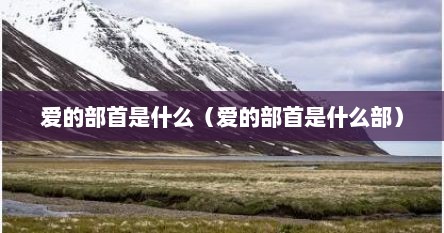 爱的部首是什么（爱的部首是什么部）