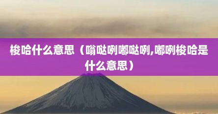 梭哈什么意思（嗡哒咧嘟哒咧,嘟咧梭哈是什么意思）
