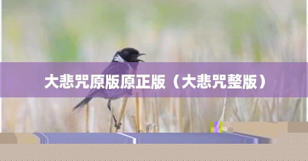 大悲咒原版原正版（大悲咒整版）