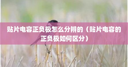 贴片电容正负极怎么分辨的（贴片电容的正负极如何区分）