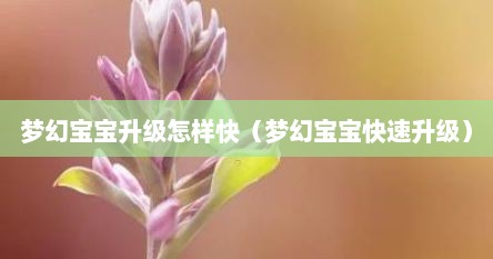 梦幻宝宝升级怎样快（梦幻宝宝快速升级）