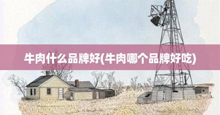 牛肉什么品牌好(牛肉哪个品牌好吃)