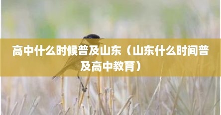 高中什么时候普及山东（山东什么时间普及高中教育）