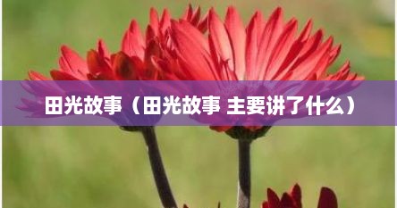 田光故事（田光故事 主要讲了什么）