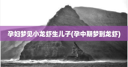 孕妇梦见小龙虾生儿子(孕中期梦到龙虾)