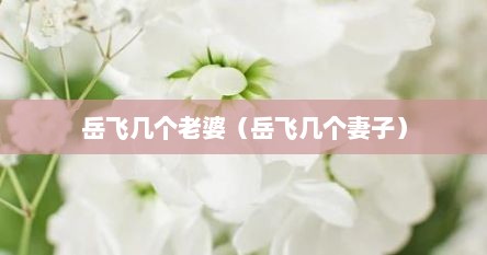 岳飞几个老婆（岳飞几个妻子）