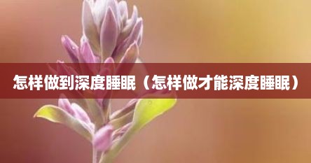 怎样做到深度睡眠（怎样做才能深度睡眠）