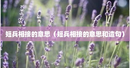 短兵相接的意思（短兵相接的意思和造句）