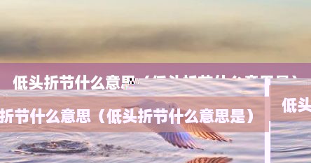 低头折节什么意思（低头折节什么意思是）