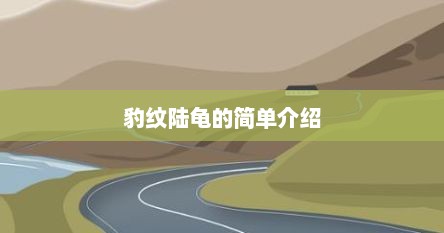 豹纹陆龟的简单介绍