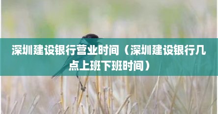 深圳建设银行营业时间（深圳建设银行几点上班下班时间）