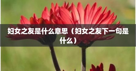 妇女之友是什么意思（妇女之友下一句是什么）