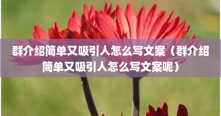群介绍简单又吸引人怎么写文案（群介绍简单又吸引人怎么写文案呢）