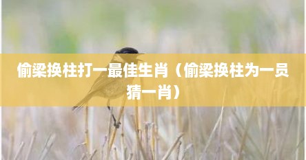 偷梁换柱打一最佳生肖（偷梁换柱为一员猜一肖）