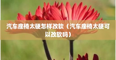 汽车座椅太硬怎样改软（汽车座椅太硬可以改软吗）