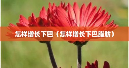 怎样增长下巴（怎样增长下巴脂肪）