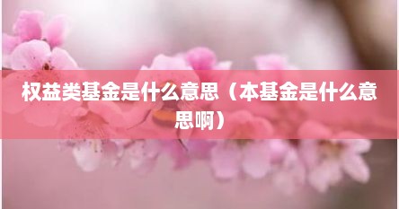 权益类基金是什么意思（本基金是什么意思啊）