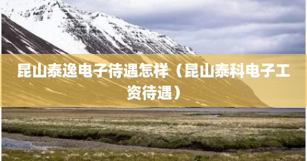 昆山泰逸电子待遇怎样（昆山泰科电子工资待遇）