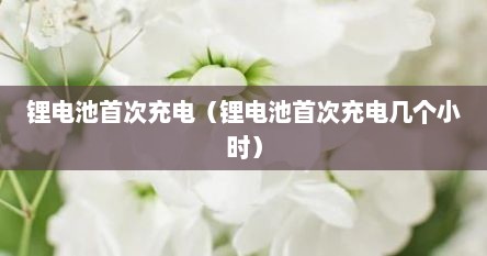 锂电池首次充电（锂电池首次充电几个小时）