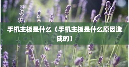 手机主板是什么（手机主板是什么原因造成的）