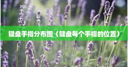 键盘手指分布图（键盘每个手指的位置）