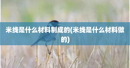 米线是什么材料制成的(米线是什么材料做的)