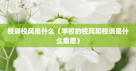 校训校风是什么（学校的校风和校训是什么意思）