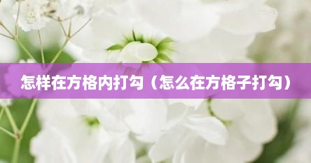 怎样在方格内打勾（怎么在方格子打勾）