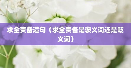 求全责备造句（求全责备是褒义词还是贬义词）